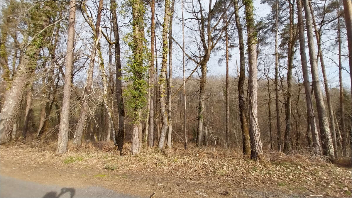 Terrain à CHANCELADE