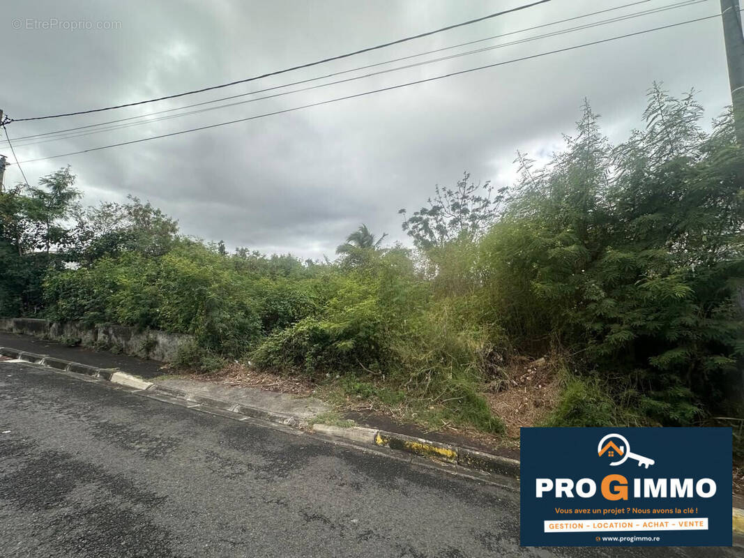 Terrain à SAINT-LOUIS