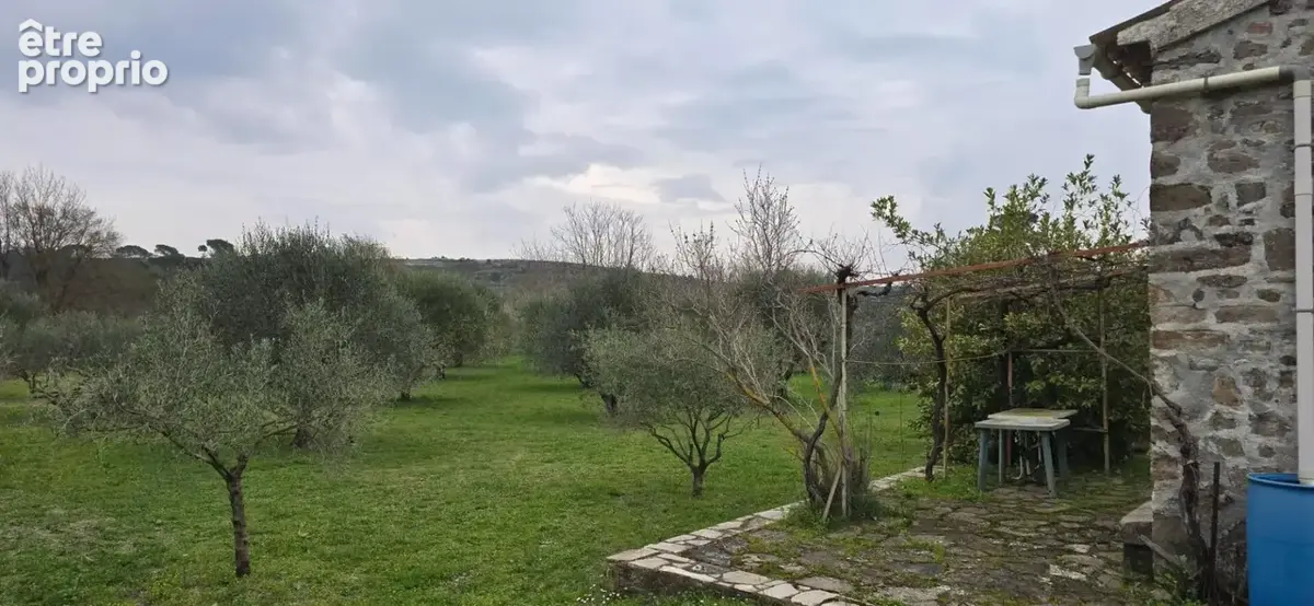 Le muy  authentique cabanon provençal en pierre avec oliveraie de 4392m² - photo 4