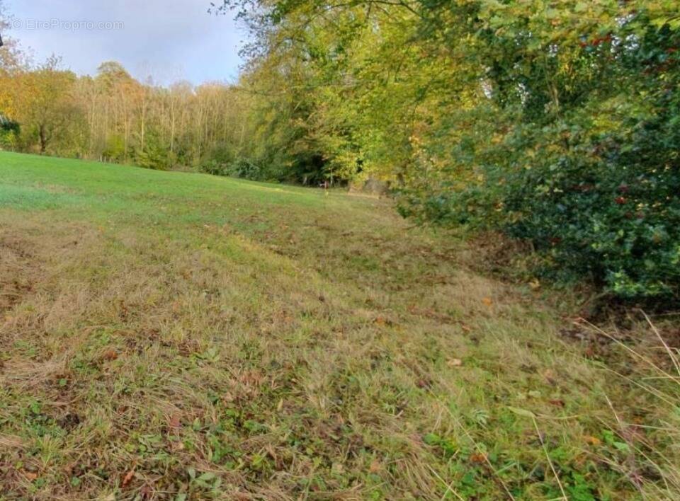 Terrain à FOURMETOT