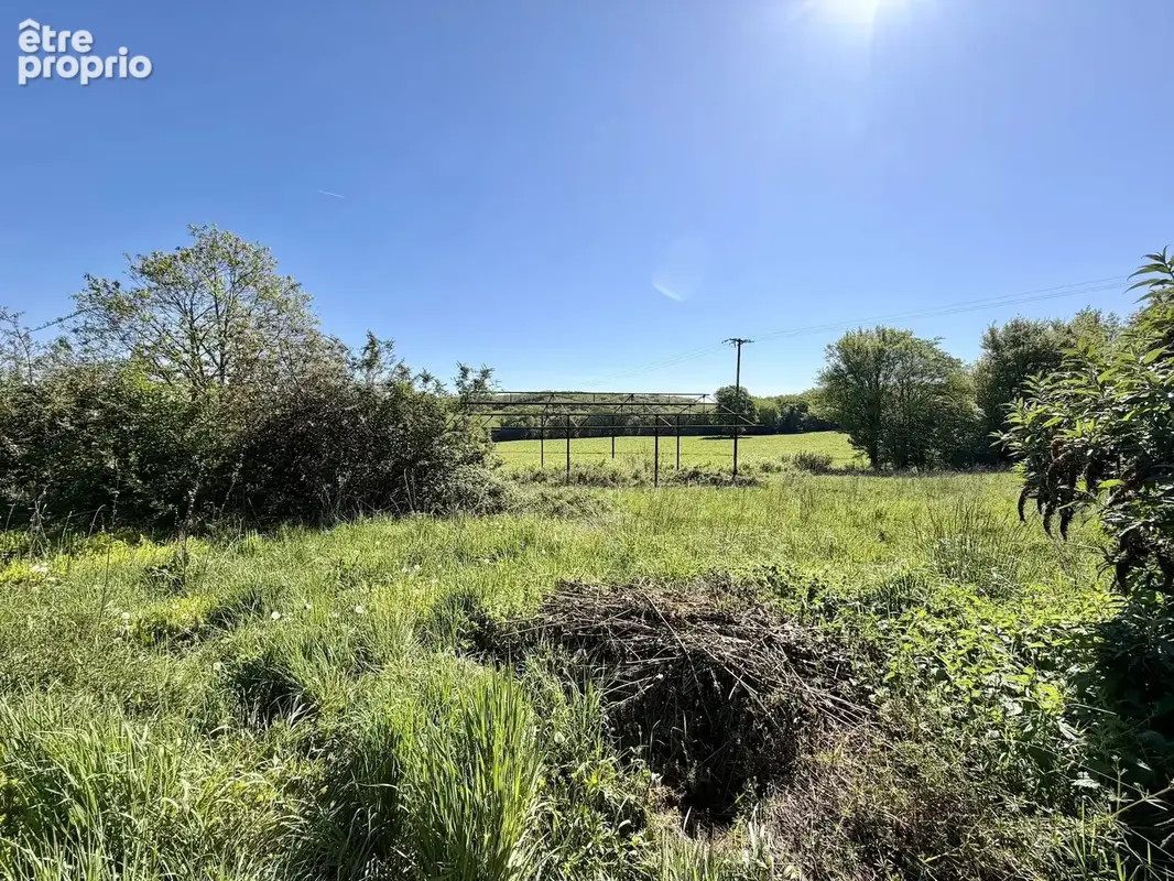 Grande maison d'habitation à vendre avec beaucoup de terrain près de l'Étang de Baye - photo 18