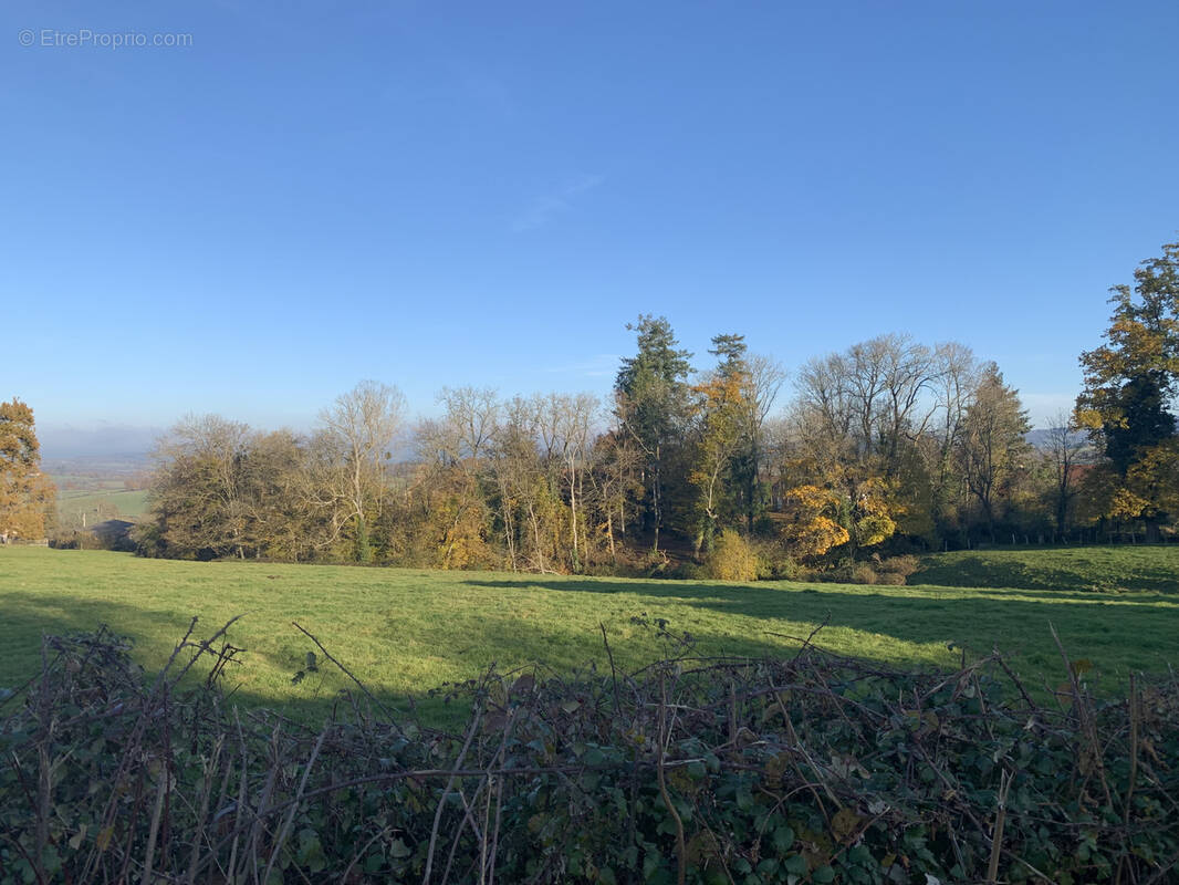 Terrain à LE BREUIL