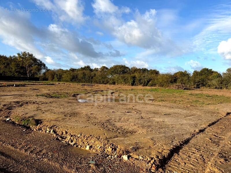 Terrain à SAINT-URBAIN