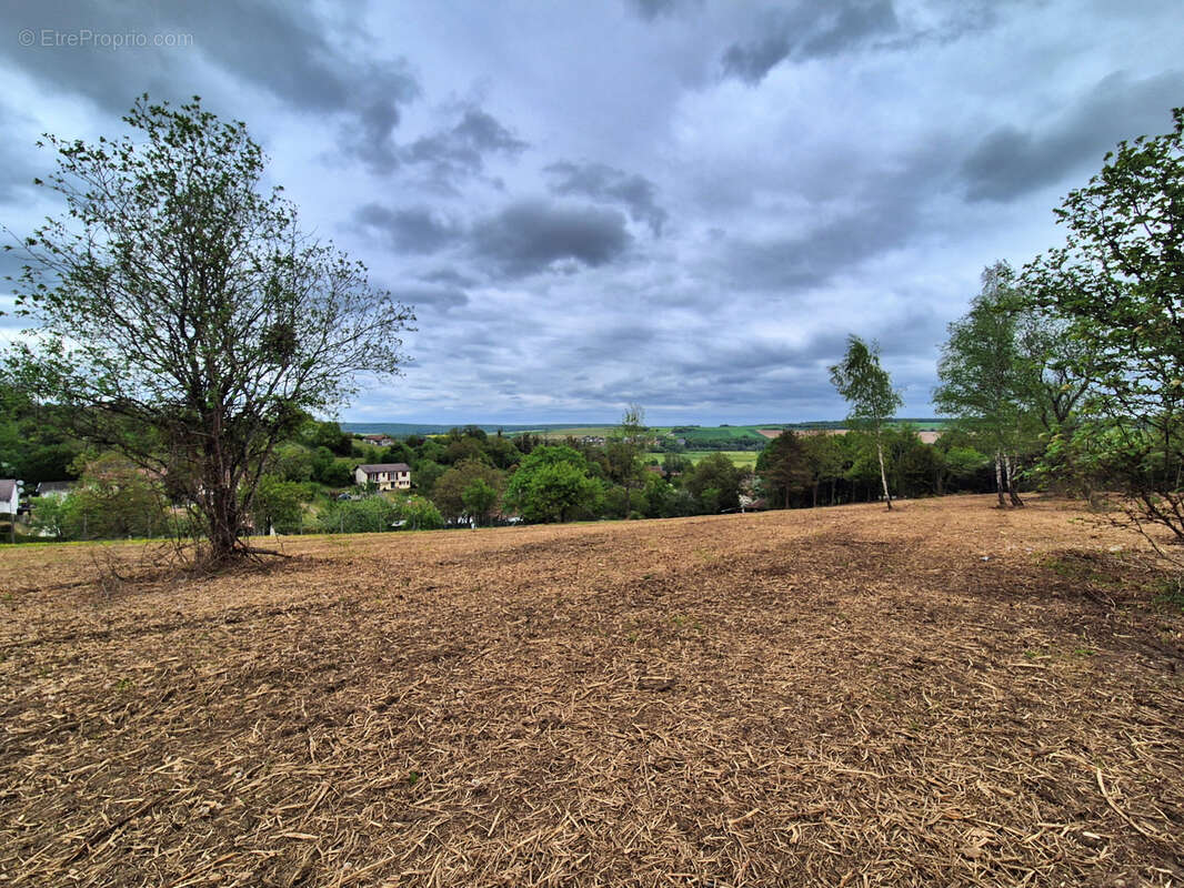 Terrain à VAUCOULEURS