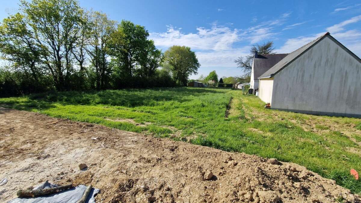 Terrain à LA CHAPELLE-LAUNAY