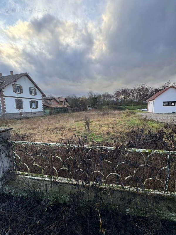 Terrain à NIEDERNAI