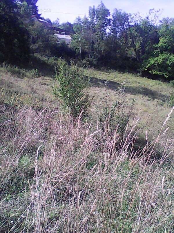 Terrain constructible - Figeac - photo 3