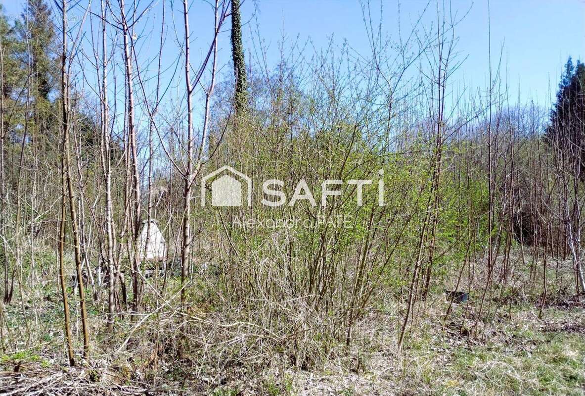 Photo 5 - Terrain à REIMS