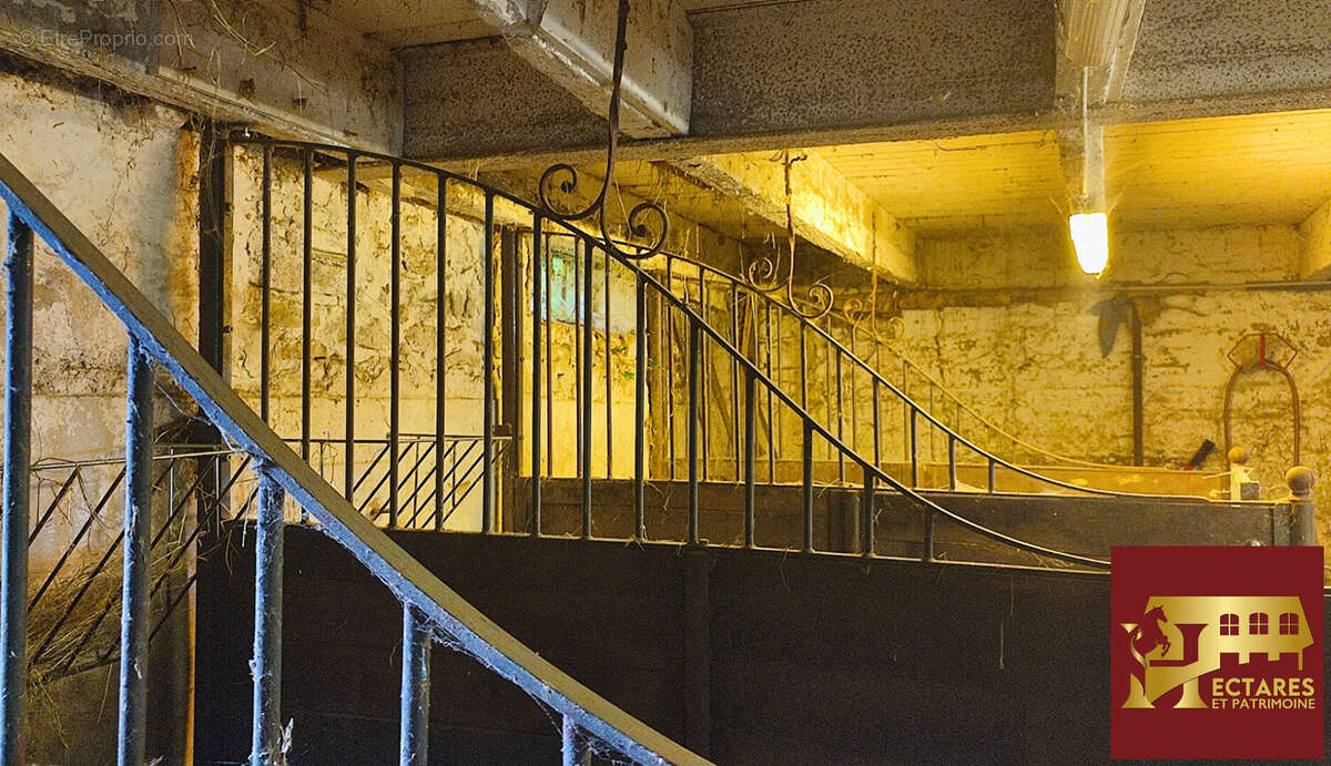 Maison à BEAUPONT