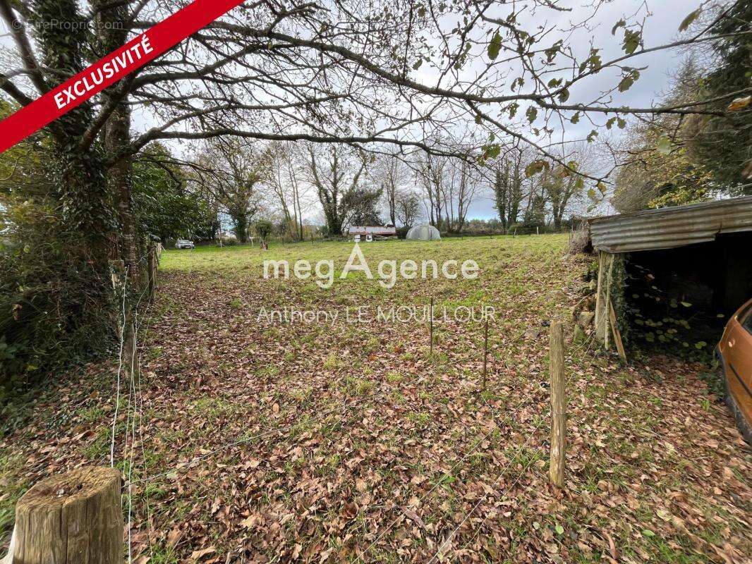 Appartement à CALAN