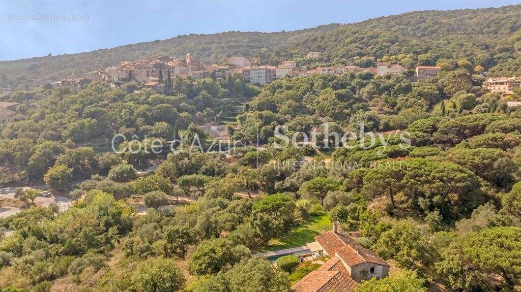 Maison à RAMATUELLE