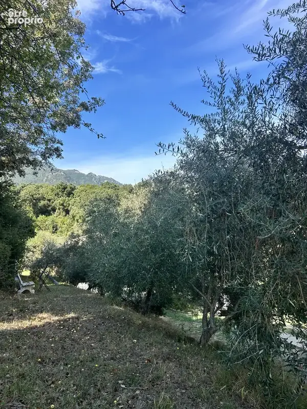 À vendre   Maison de 105 m2 sur 2 700 m2 de terrain à Cervione - photo 2