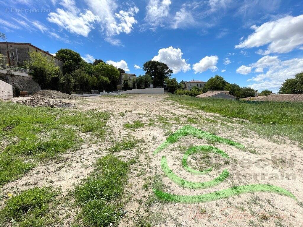 Terrain à LE POUGET