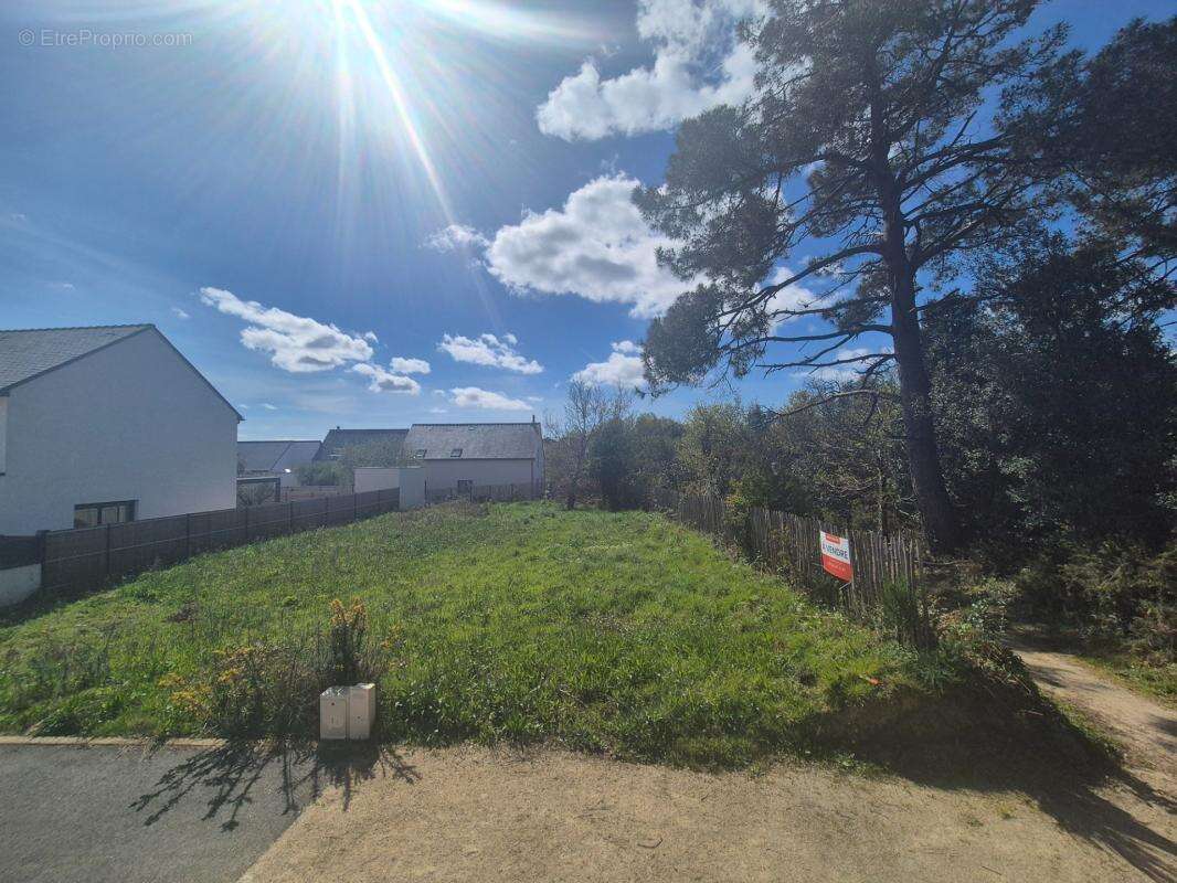 Terrain 530m2 - bourg de st philibert - photo 3