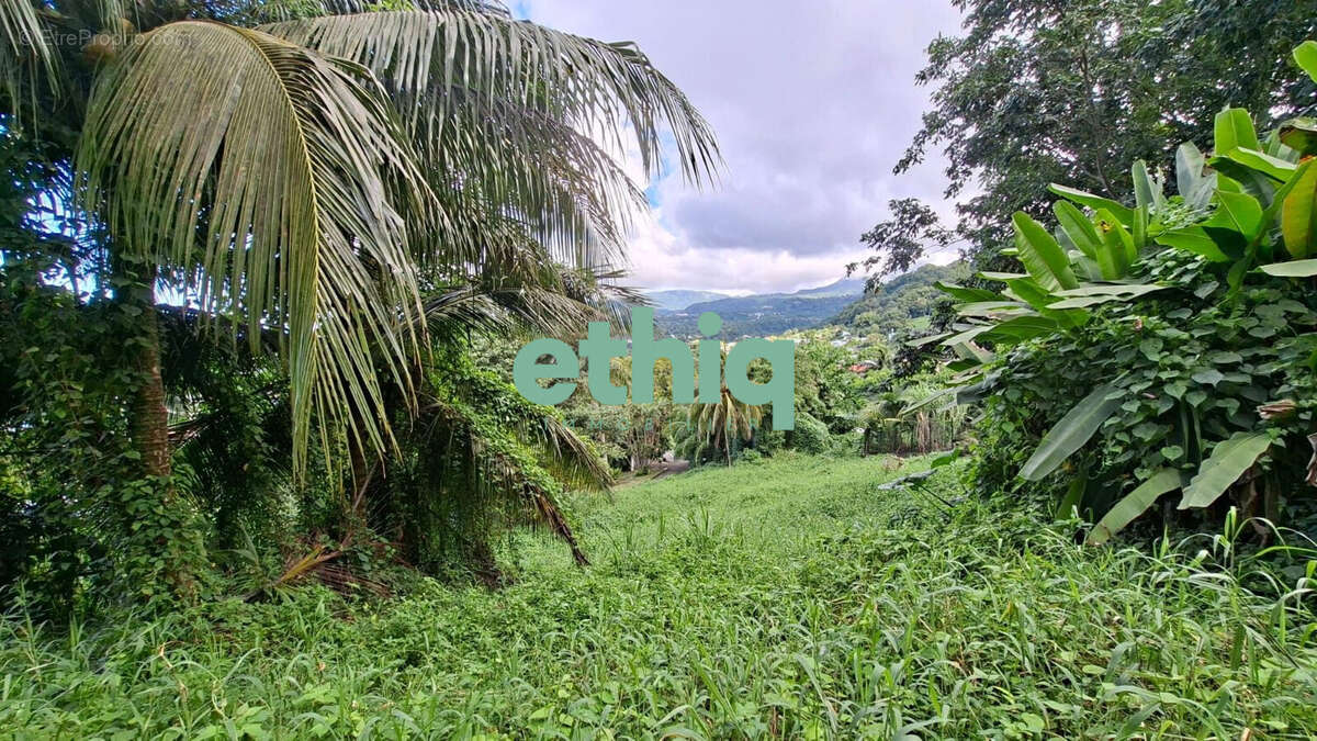 Terrain à GOURBEYRE