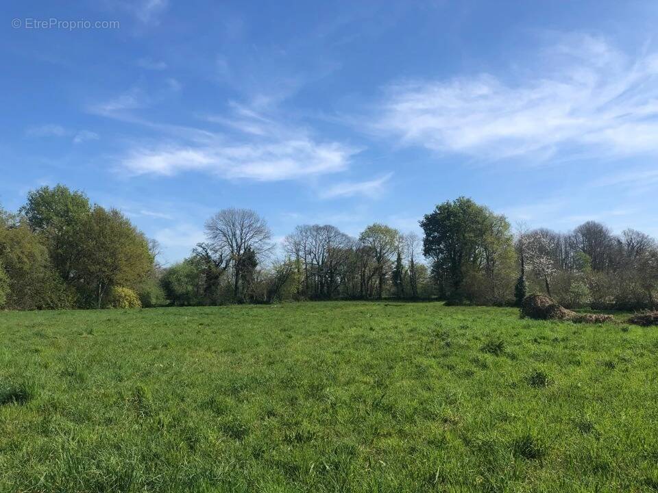 Terrain à VILLEMATIER