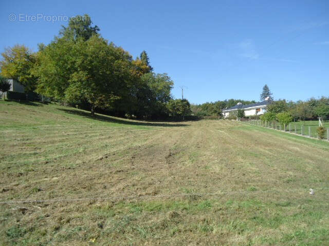 Terrain à SAINT-SORNIN-LAVOLPS