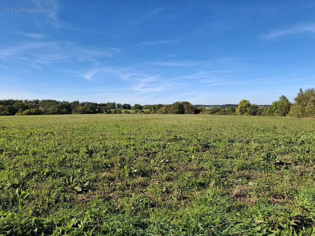 Propriété historique avec dépendances et 31 hectares de terrain - photo 19