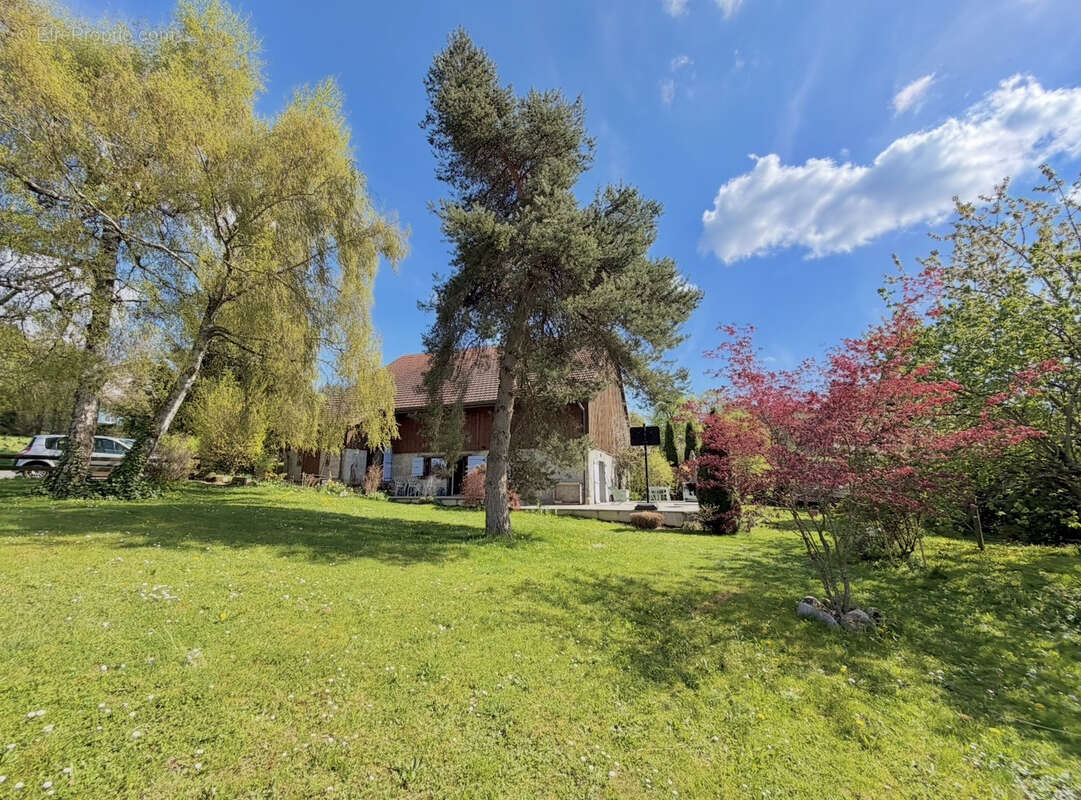 Maison à FAUCIGNY