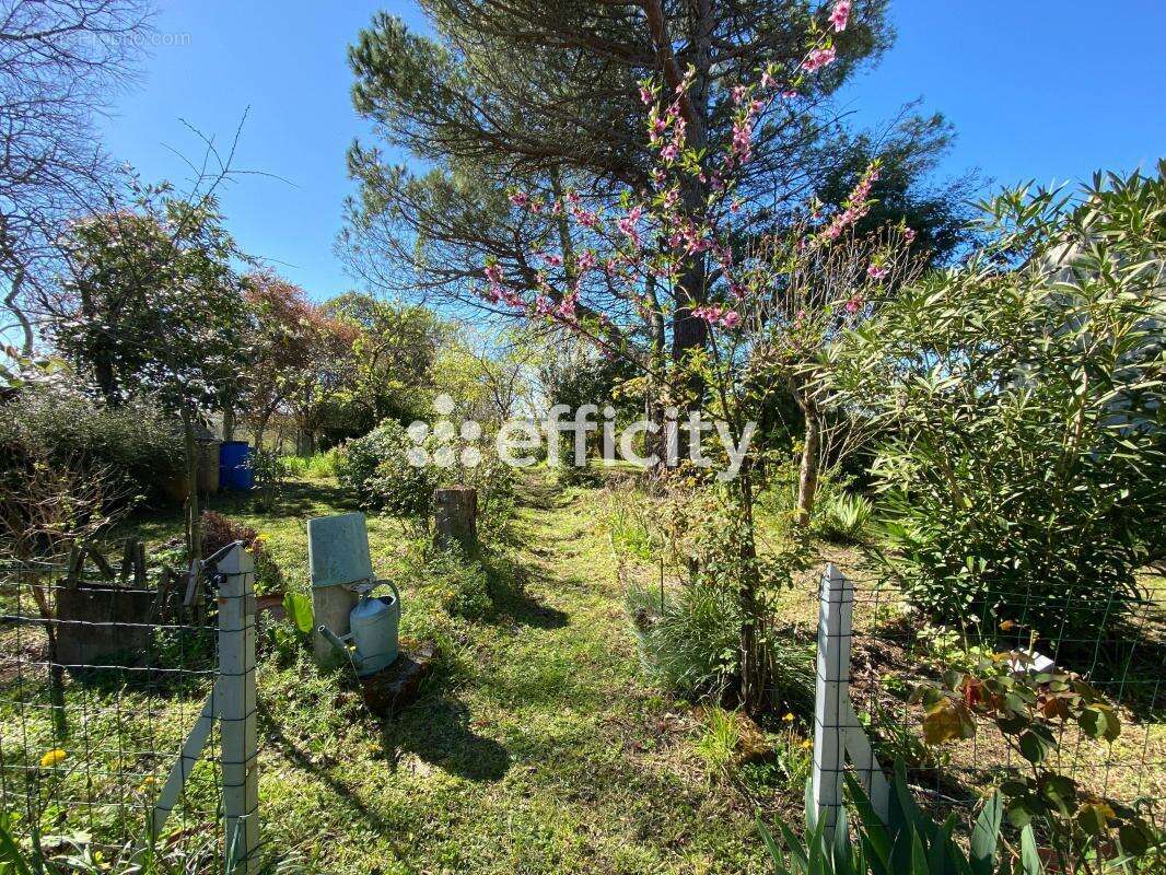 Maison à LUGON-ET-L'ILE-DU-CARNAY