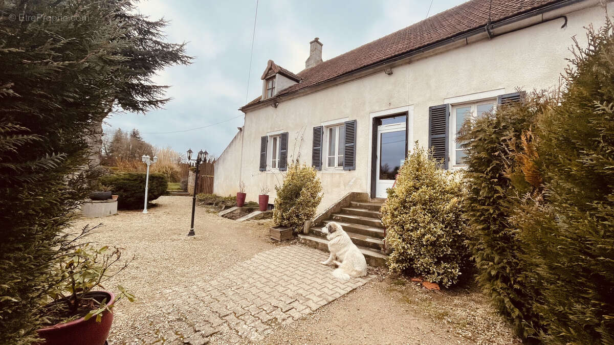 Murs et Fonds commerciaux situés à CUSSY-LES- FORGES   154 600 €. - photo 3