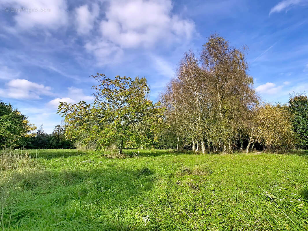 Maison à PICAUVILLE
