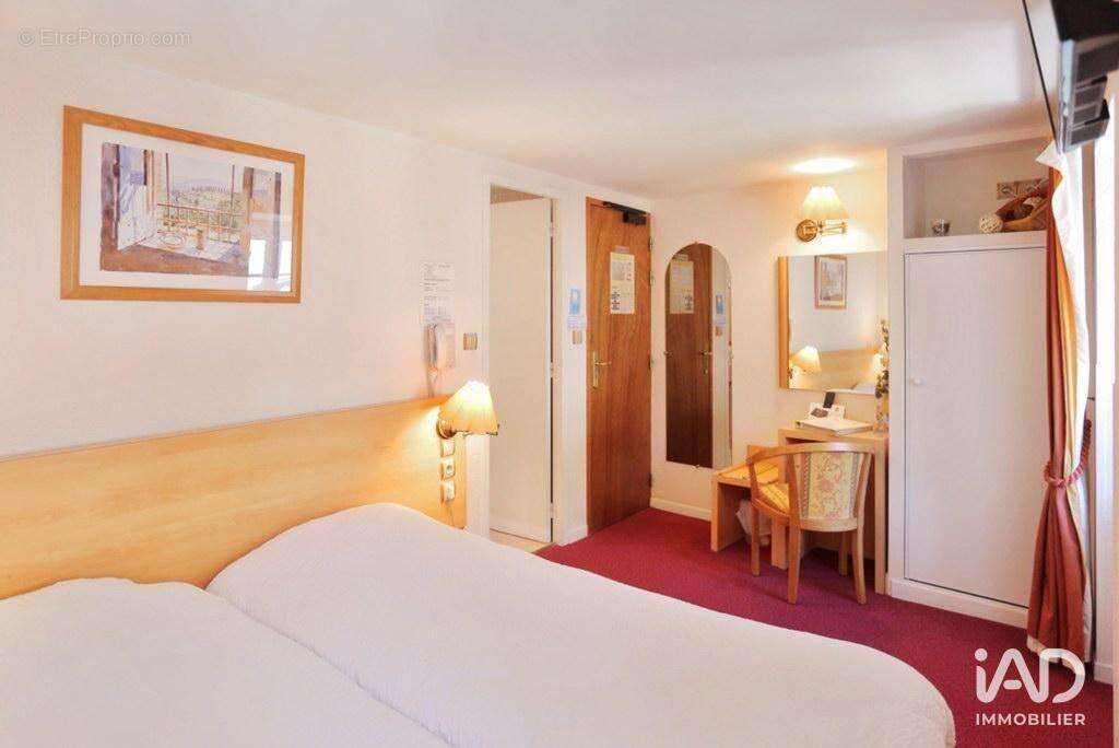 Photo 9 - Commerce à SAINT-LARY