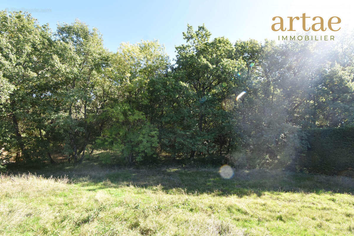 Terrain à SAINT-LYS