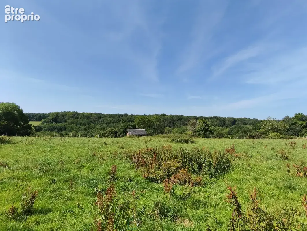 Agréable maison dans écrin de verdure (7350 m²), au calme, avec jolie vue - photo 5