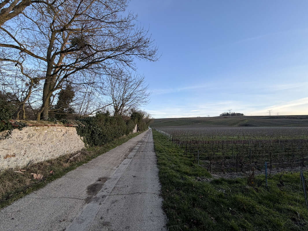 Terrain à bâtir à 8 minutes de Bezannes - photo 5