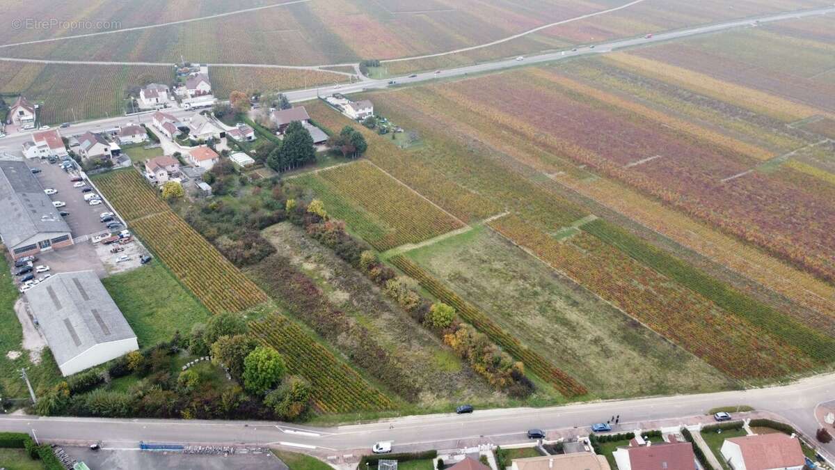 Terrain à NUITS-SAINT-GEORGES