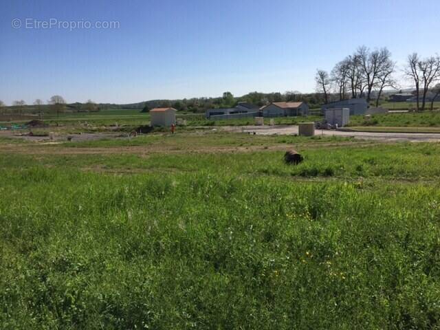 Terrain à COUSSAY-LES-BOIS