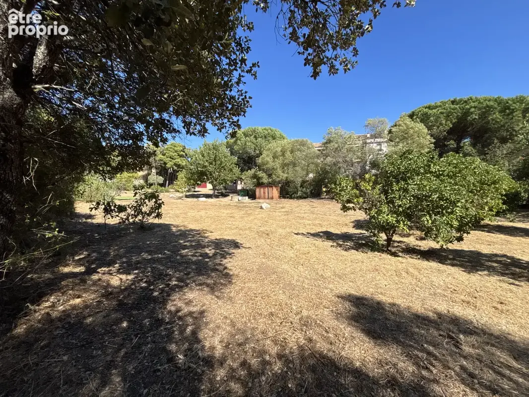 PORTO-VECCHIO CENTRE-VILLE   Maison composée de 2 appartements avec atelier et garage sur un terrain de 2575m2 - photo 19