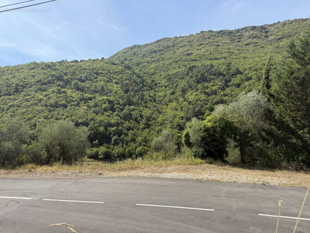 Superbe terrain plein sud complanté d’oliviers avec accès voiture - photo 2