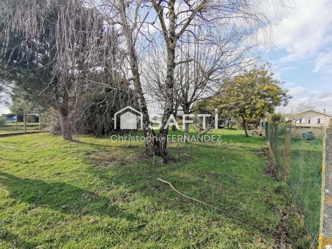 Photo 5 - Terrain à BERSON