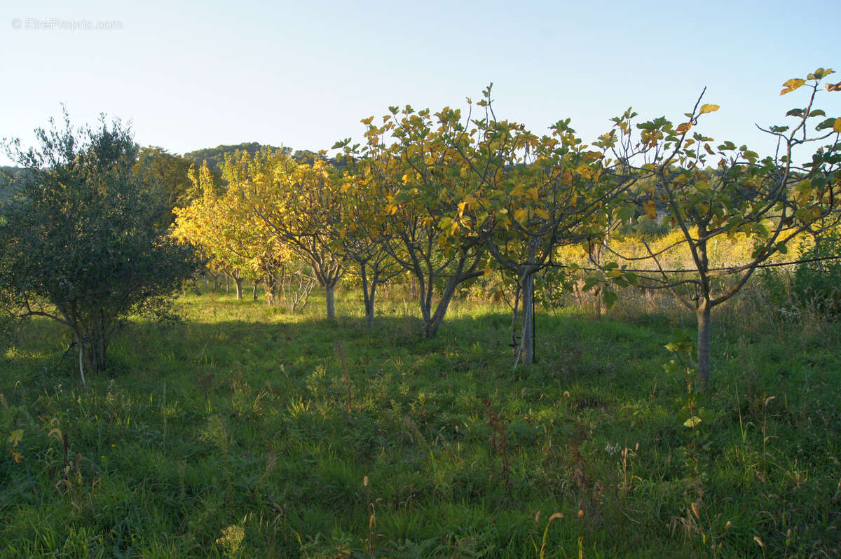 Terrain à SAINT-RESTITUT