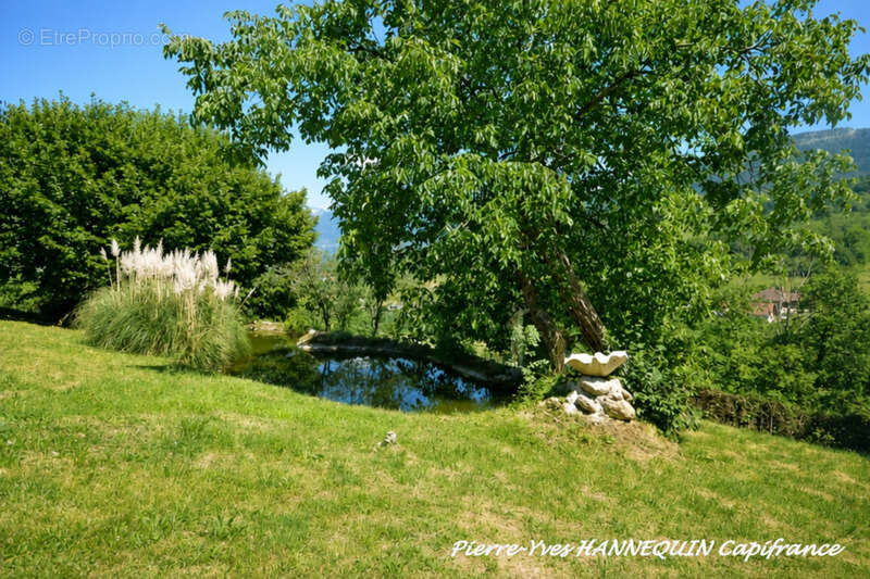 Terrain constructible de 1 020 m² avec vue panoramique – Saint-Jorioz (74) - photo 2