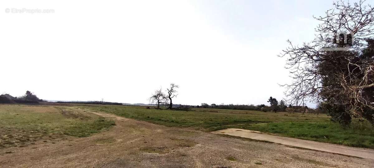 Terrain à MONTLIVAULT