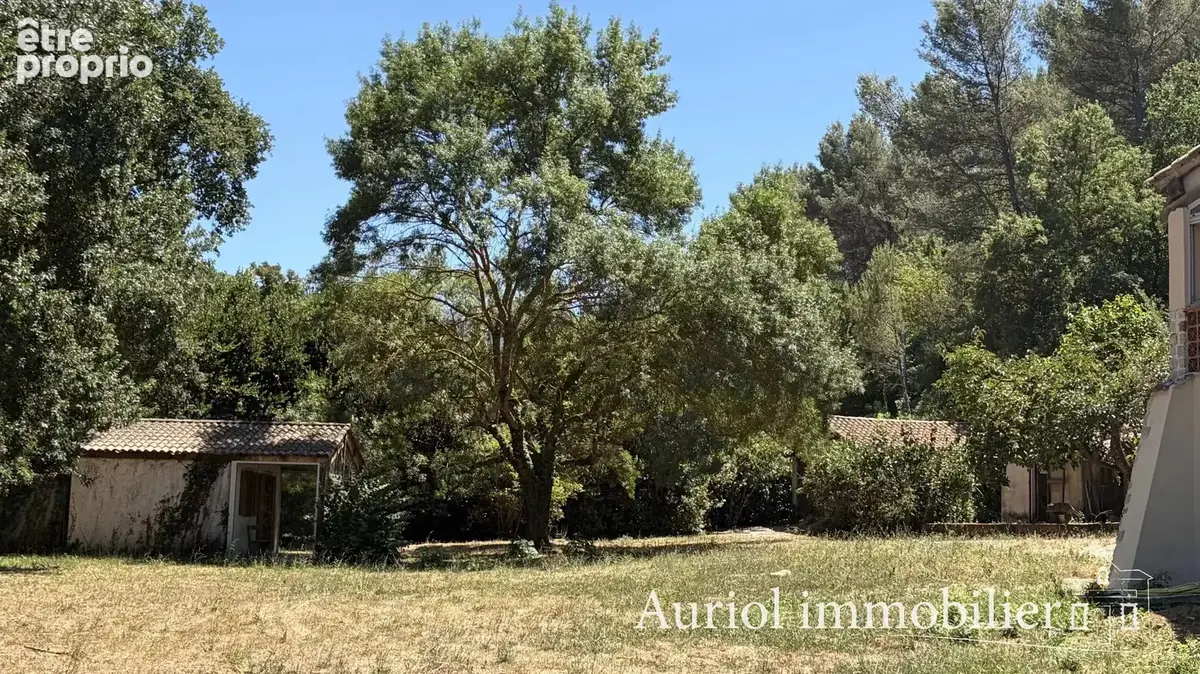 AURIOL - Maison avec dépendances sur terrain de 4200 m² - photo 13