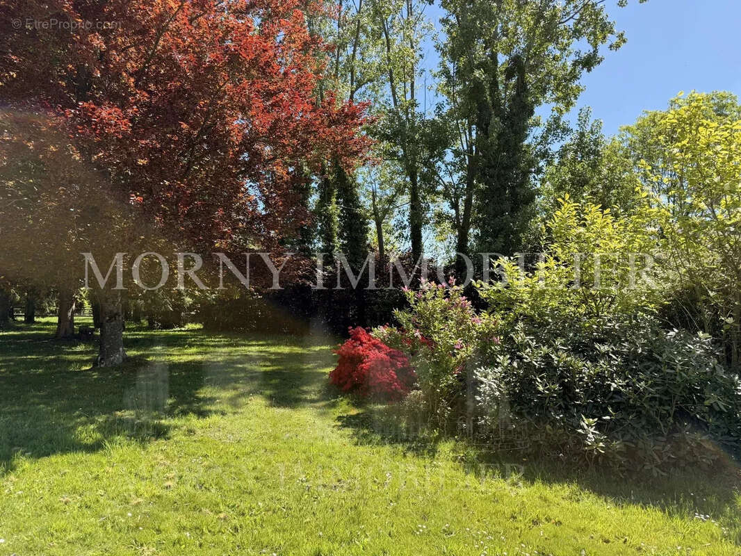 Maison à PONT-L&#039;EVEQUE