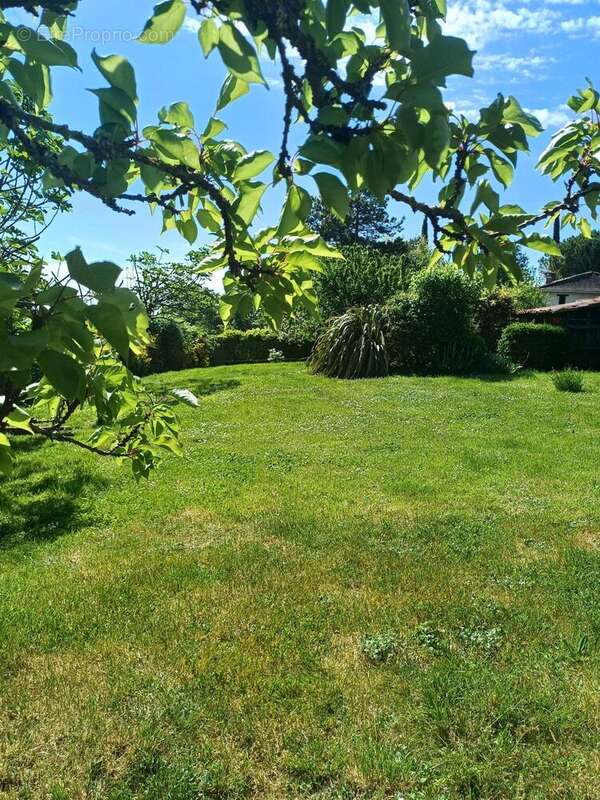 Maison 147 m² à Chatignac  - photo 8