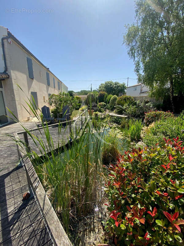 Ensemble immobilier - photo 3