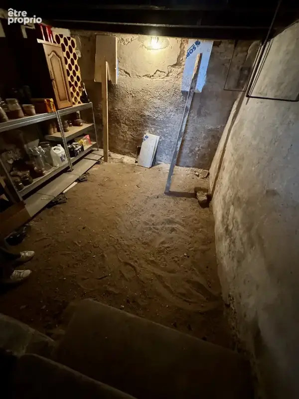 Chevillon sur huillard, commerces, ecoles, dependances, sans travaux, 10mn montargis - photo 19