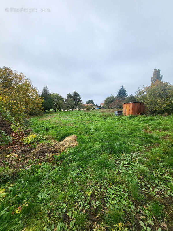 Terrain à CRANVES-SALES