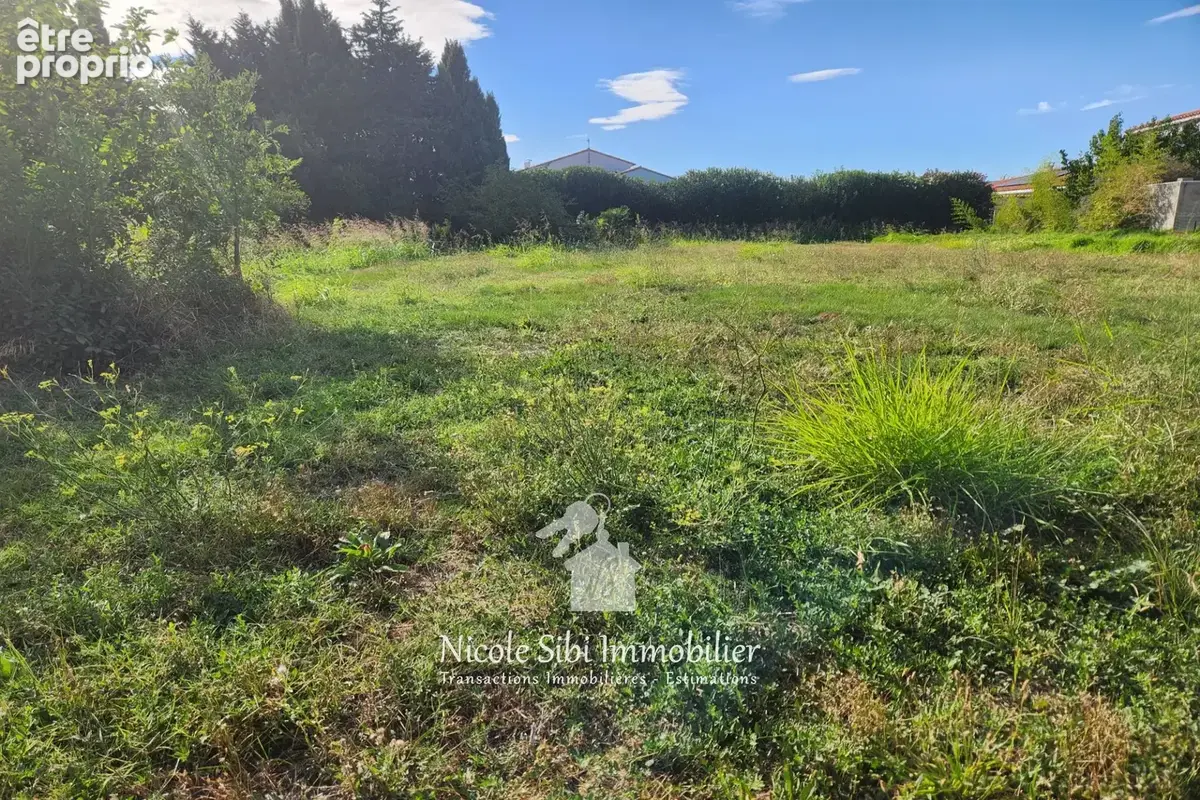 Terrain 693 m² à vendre à Millas (66170) - photo 3
