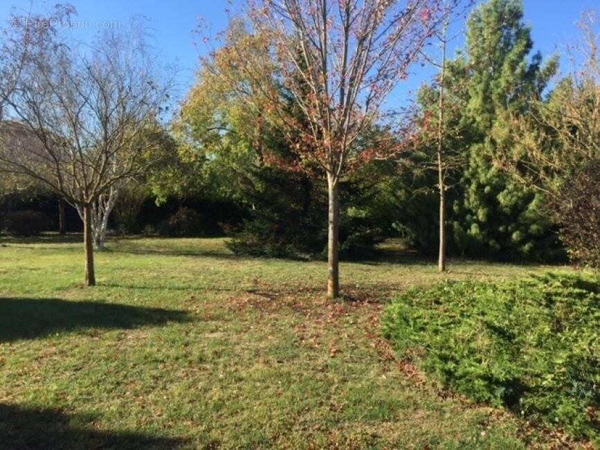 Terrain à LA SALVETAT-SAINT-GILLES