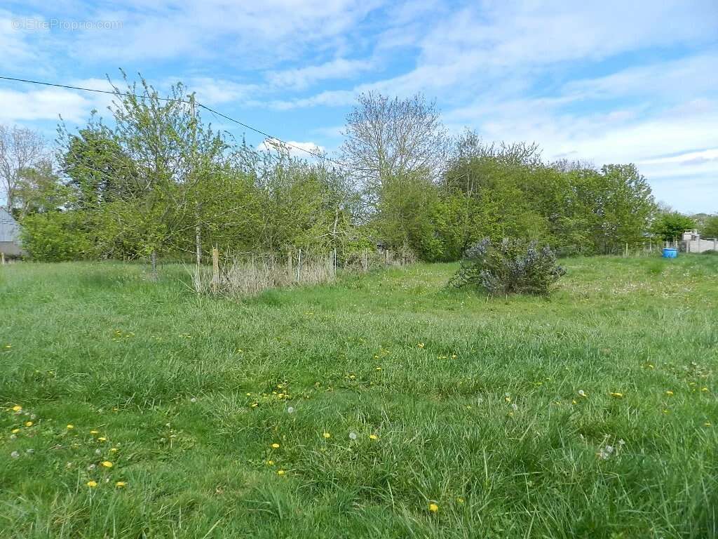 Maison à SAINT-PIERRE-SUR-DIVES