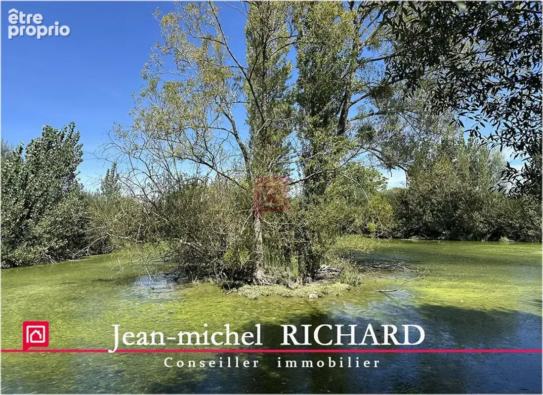 Terrain de loisirs Le Controis En Sologne 5624 m2 - photo 3
