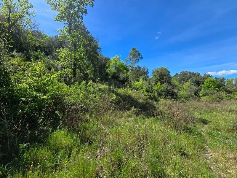 Terrain à QUINTILLAN