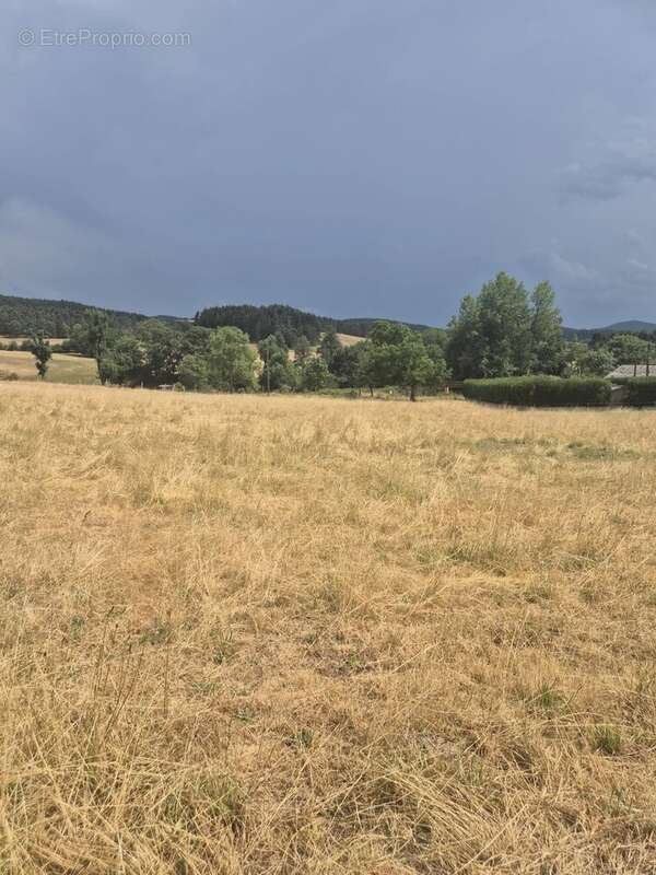 Terrain constructible à Saint Pierre Eynac - photo 2